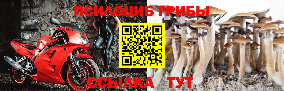 Галлюциногенные грибы прущие грибы Коркино