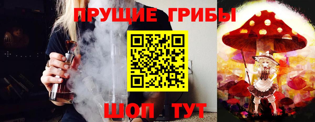 Псилоцибиновые грибы MAGIC MUSHROOMS  Галлюциногенные грибы Psilocybe  Коркино  Вход с VPN 